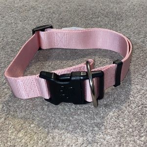 Dog Collar